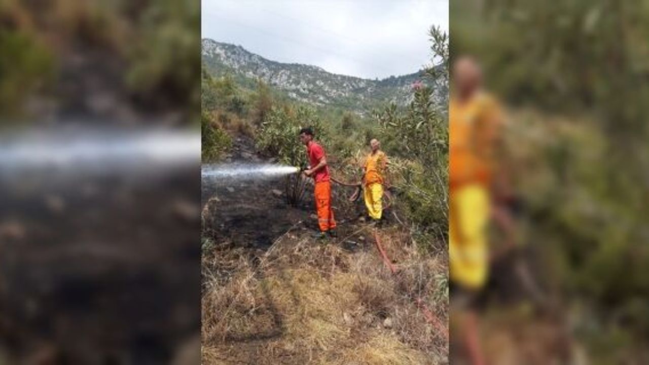 Adana'da ormanlık alanda çıkan yangın söndürüldü