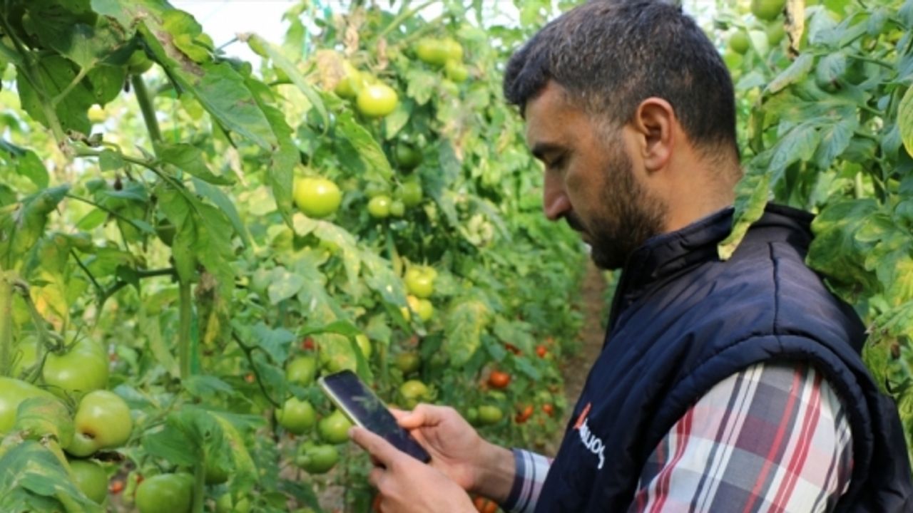 Adana'da üreticiler, “Tarım Cebimde“ uygulamasını kullanmaya başladı