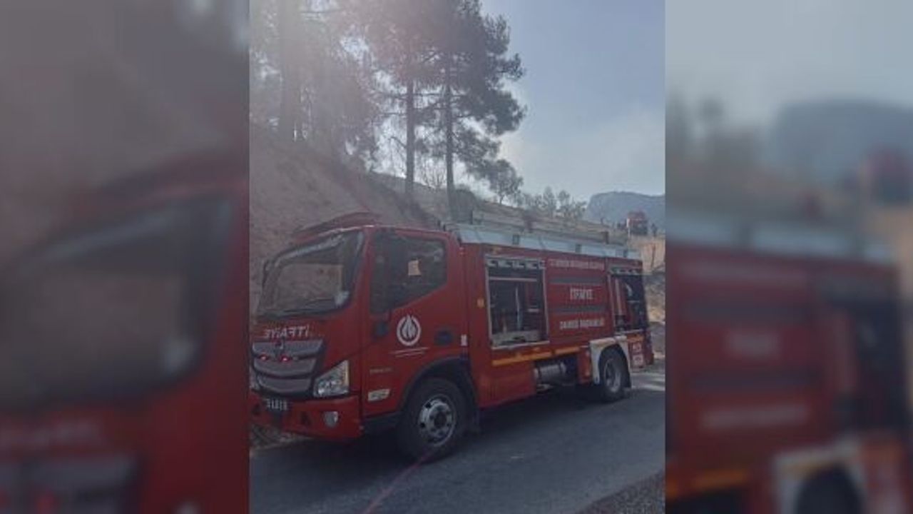 Mersin'de ormanlık alanda çıkan yangın söndürüldü