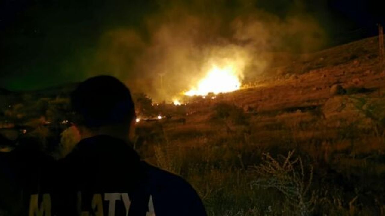 Malatya'da çıkan orman yangınına müdahale ediliyor