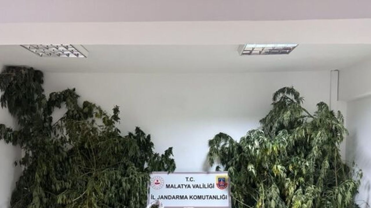 Malatya'da uyuşturucu operasyonunda yakalanan 2 şüpheli tutuklandı