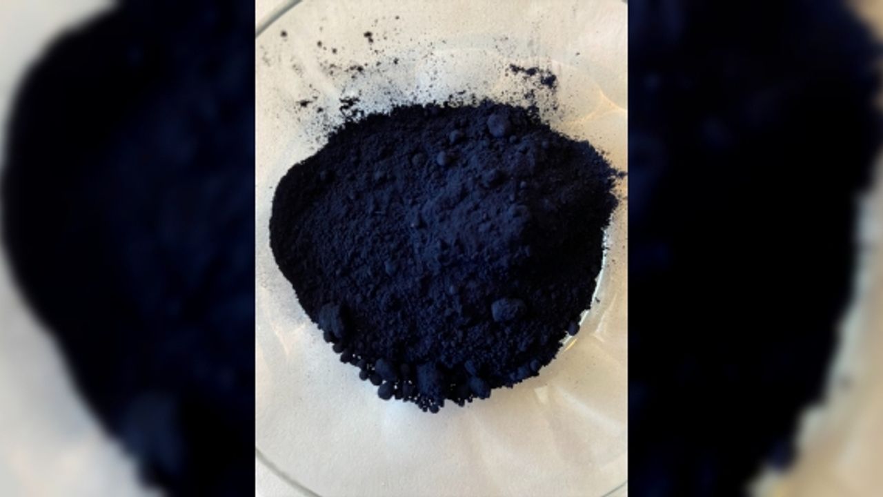 Tekstilde sentetik boyaya alternatif indigo bitkisini Türkiye'de yetiştirdiler