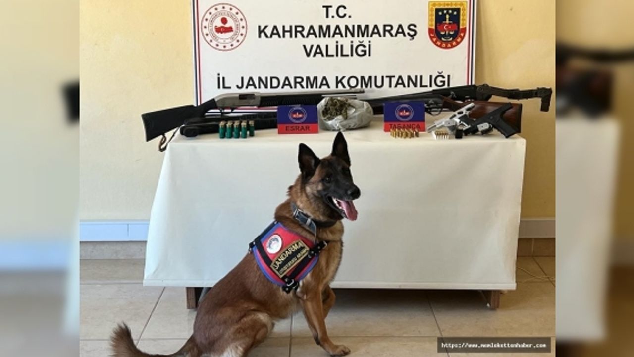 Trafik kazası sonrası polis ekiplerine ateş açtılar 