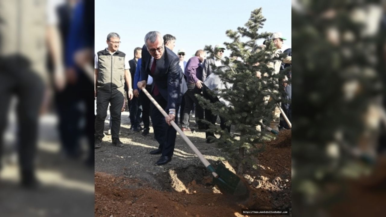 Milli Ağaçlandırma Günü’nde Binlerce Fidan Toprakla Buluşturuldu