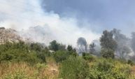 GÜNCELLEME - Antalya'da zeytinlik ve makilik alanda çıkan yangın kontrol altına alındı