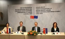 AB Türkiye Delegasyonu Başkanı Büyükelçi Meyer-Landrut Mersin'de resepsiyonda konuştu: