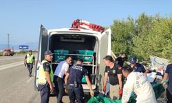 Adana'da şarampole devrilen kamyonetteki 3 kişi öldü