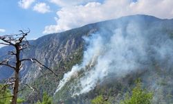 Burdur'da Karanlıkdere Kanyonu'nda çıkan orman yangını kontrol altına alındı