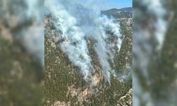 Burdur'da Karanlıkdere Kanyonu'nda orman yangını çıktı