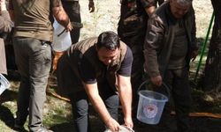Kahramanmaraş'ta 5 bin kırmızı benekli alabalık yavrusu Terbüzek Çayı'na bırakıldı