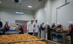 Malatya'da gıda işletmeleri denetlendi