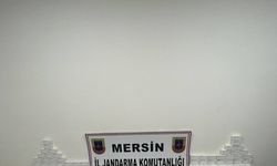 Mersin'de 14 bin uyuşturucu hap ele geçirildi