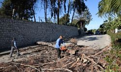 Adana'da şiddetli rüzgar etkili oldu