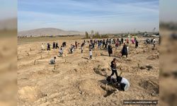 Elbistan Deprem Mezarlığında Fidanlar Toprakla Buluşturuldu