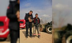 Malatya'da enkaz altında mahsur kalan köpek kurtarıldı