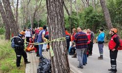 Antalya'da kayıp olarak aranan Rus turist ormanda ölü bulundu