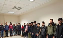 Hatay'da 16 düzensiz göçmen yakalandı