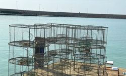 Hatay'da geçen yıl yasa dışı balık avlamada kullanılan 140 kafes ele geçirildi