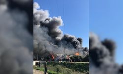 Mersin'de narenciye paketleme fabrikasında çıkan yangına müdahale ediliyor