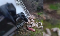 Mersin'de şarampole devrilen kamyonun sürücüsü yaralandı