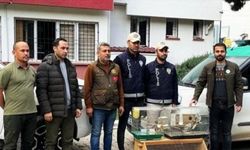 Osmaniye'de istilacı kuş satışı yapan iş yerinin sahibine para cezası
