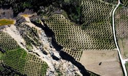 6 ŞUBAT DEPREMLERİNİN BİRİNCİ YILI - Hatay'da 400 metrelik yarık oluşan zeytinlik depremin simgelerinden oldu