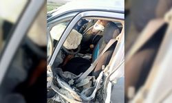 Adana'da refüjdeki ağaca çarpan otomobildeki 2 kişi yaralandı