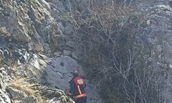 Darende'de kayalıklarda mahsur kalan keçileri itfaiye kurtardı