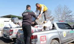Kahramanmaraş Orman Bölge Müdürlüğü deprem sürecinde 37 bin ton odun dağıttı