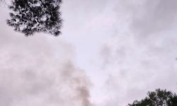 GÜNCELLEME - Antalya'da ormanlık alanda çıkan yangın kontrol altına alındı