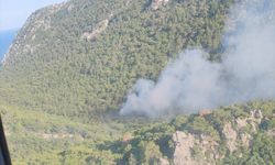GÜNCELLEME 2 - Antalya'da çıkan orman yangını kontrol altına alındı