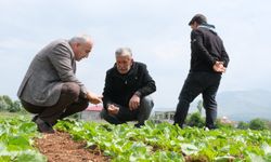 Malatya Tarım ve Orman İl Müdürü Akar, Doğanşehir'de incelemelerde bulundu