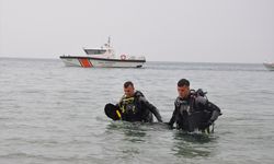 Mersin'de sahil ve deniz dibi temizliği yapıldı