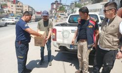 Hatay'da havalandırma borusunda mahsur kalan baykuş yavrusunu itfaiye kurtardı