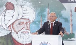 Kayseri'de köy okulları Mimar Sinan’ın ölümsüz eserleriyle süslenecek