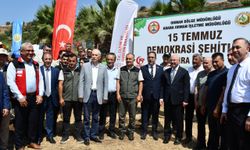 Adana'da 15 Temmuz şehitleri için fidan dikildi