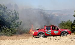 GÜNCELLEME 3 - Adana'da çıkan orman yangınına müdahale ediliyor