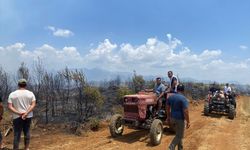 GÜNCELLEME - Antalya'da çıkan orman yangını kontrol altına alındı