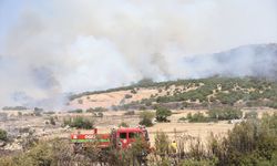 Kahramanmaraş'ta çıkan anız yangını makilik alana sıçradı