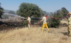 Kahramanmaraş'ta ormanlık alanda çıkan yangın söndürüldü