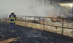 Reyhanlı'da samanlıkta çıkan yangın söndürüldü