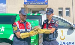 Malatya'da yaralı bulunan atmaca tedaviye alındı