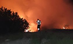 Antakya'da çıkan orman yangını söndürüldü