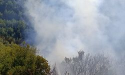 Hatay'da çıkan orman yangını söndürüldü