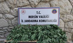 Mersin'de uyuşturucu operasyonunda 3 zanlı yakalandı