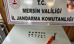 Mersin'de tarihi eser kaçakçılığı operasyonunda bir şüpheli yakalandı