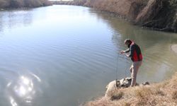 Adana'da balık ölümleri görülen Ceyhan Nehri'nde inceleme sürüyor