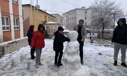 Aladağ'da kar yağışı etkili oldu