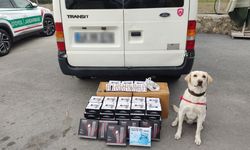 Mersin'de uyuşturucu operasyonunda 3 zanlı yakalandı