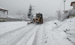 Pozantı'nın yüksek kesimlerinde kar yağışı etkili oldu